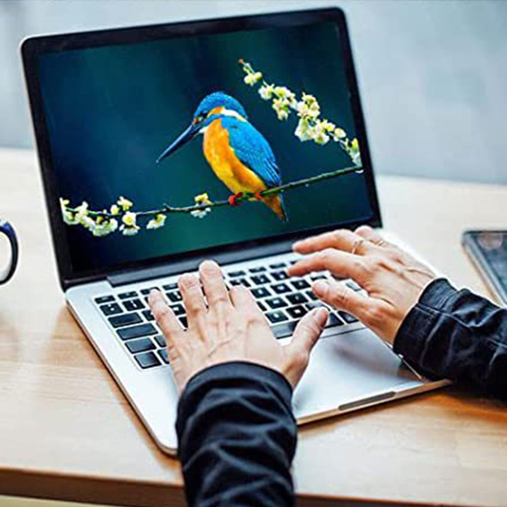 Smart Bird Feeder with 1080P WiFi Connection Camera for Closeup Shots