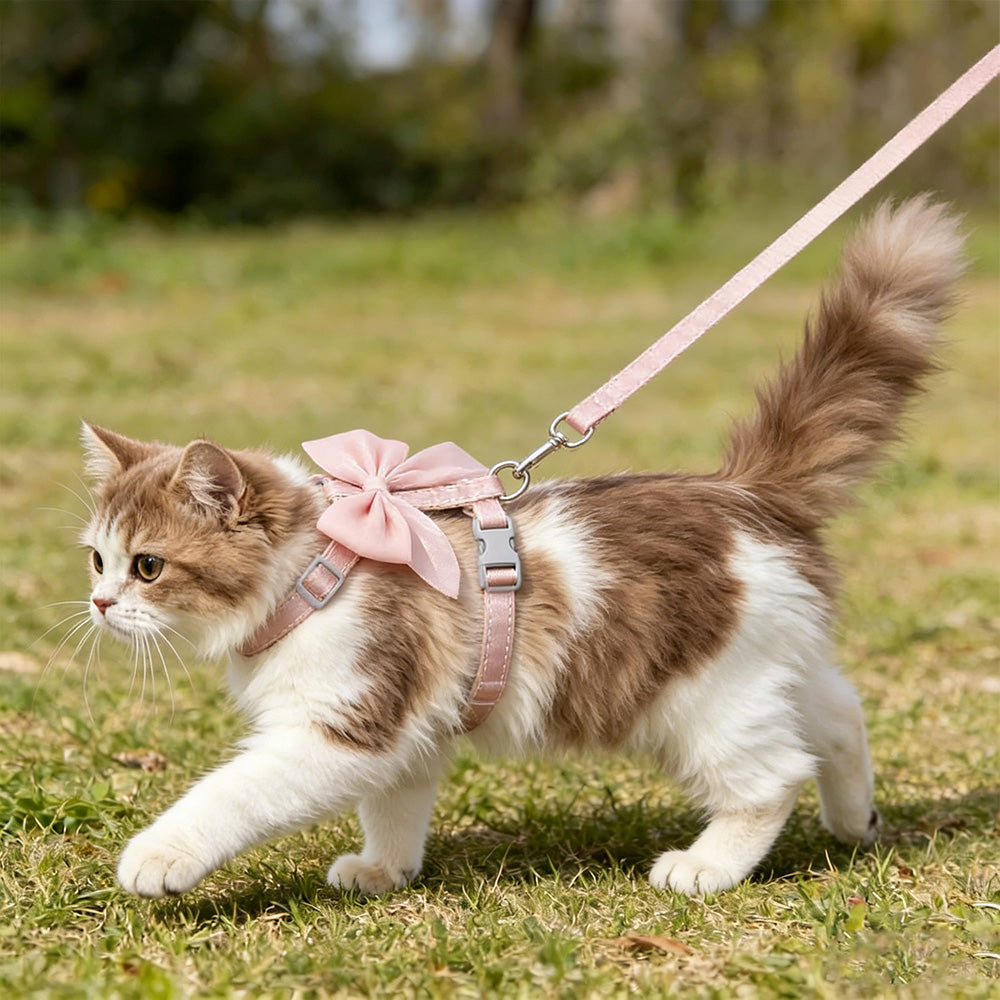 Adjustable Anti Escape Cat Harness Leash with Large Bow