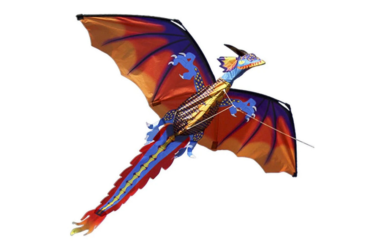 Outdoor Colorful 3D Dragon Flying Kite with 100m Tail Line 1.4m