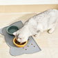 Thick Silicone Non Slip Pet Feeding Mat with Raised Spill Edge