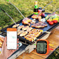 Meat Thermometer Wireless Thermometer for Smoker Oven APP Calibration Temp Graph