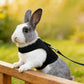 Rabbit Harness and Leash Set Adjustable Breathable Mesh Vest for Bunny Small Pets-Black