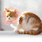 Cute Flower Cat Cone Collar Anti-Bite Lick Wound Healing Protective Neck Collar-Peach Blossom