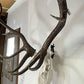 6Pcs European Mount Skull Hanger Deer Antler Bracket Heavy Duty Stainless Steel