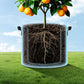5 Pcs Nonwoven Grow Bags for Fruit Flowers and Vegetables
