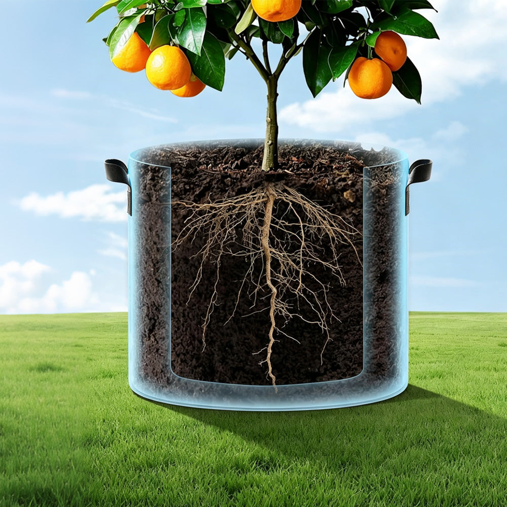5 Pcs Nonwoven Grow Bags for Fruit Flowers and Vegetables