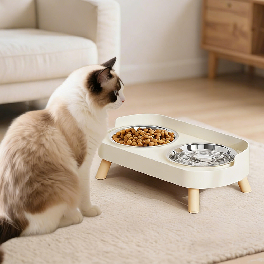 Elevated Double Stainless Steel Pet Food and Water Bowl Set