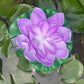 Solar Floating Lotus Light Solar Powered Floating Flower Light