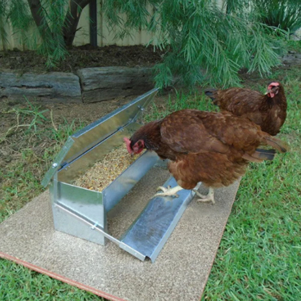 Automatic Chicken Feeder Auto Coop Chick Poultry Treadle Self Opening