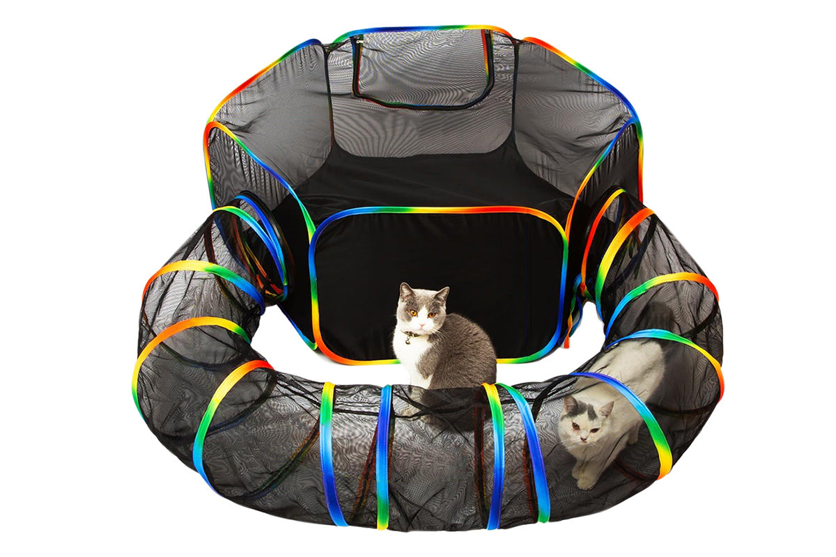 Outdoor Rainbow Cat Enclosures Playground Circle Cat Playpen Tunnel Catio Outside House For Cats
