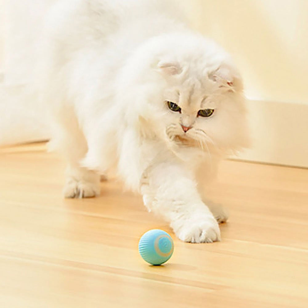 2PCS Interactive Smart Cat Toy Automatic Rolling Cat Ball Self-Moving Kitten Toys