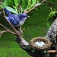 2Pcs Fairy Garden Miniature Mini Birds with Nest Figurines