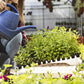 10 Pack Deep Cell Seed Starter Trays for Plant Nursery