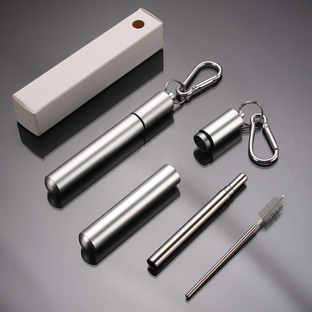 2 Pack Collapsible Stainless Steel Travel Straws with Keychain Cases