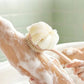 2 in 1 Double Sided Shower Brush with Loofah and Long Handle