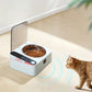 Rechargeable Automatic Stainless Steel Cat Food Bowl with Sensing Lid