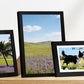 15 Piece Picture Frame Set Multi-size Collage Photo Frames for Wall or Tabletop Display