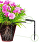 Solar Automatic Drip Irrigation Watering Device Kit Supported Pots Plants