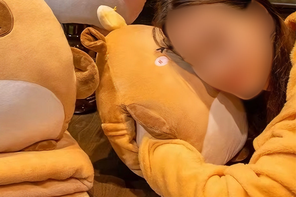 2-In-1 Cartoon Plushie Pillow Blanket