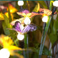Solar Butterfly Garden Lights with 12 Stems for Outdoor Decor – IP65 Waterproof, Vibrant Illumination