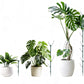 5Pcs Stackable Plant Support Stakes for Indoor Outdoor Climbing Potted Plants