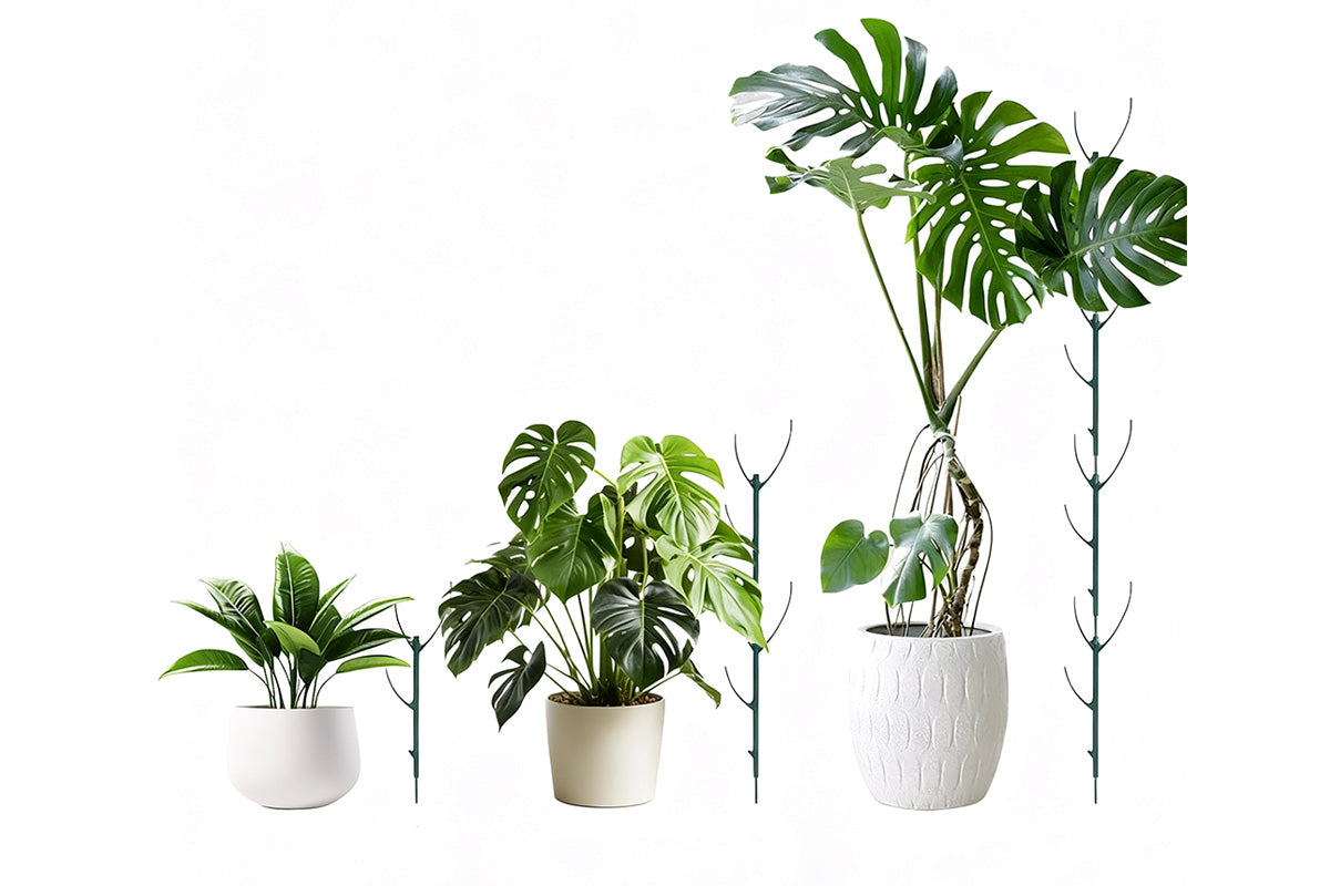 5Pcs Stackable Plant Support Stakes for Indoor Outdoor Climbing Potted Plants