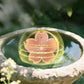 Copper Bird Bath Cleaning Disc for Outdoor Garden Use