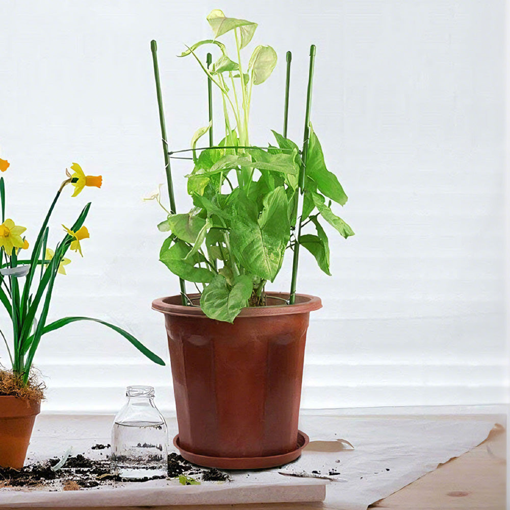 Adjustable Steel Tomato Plant Cage Climbing Trellis Support for Vegetables and Flowers