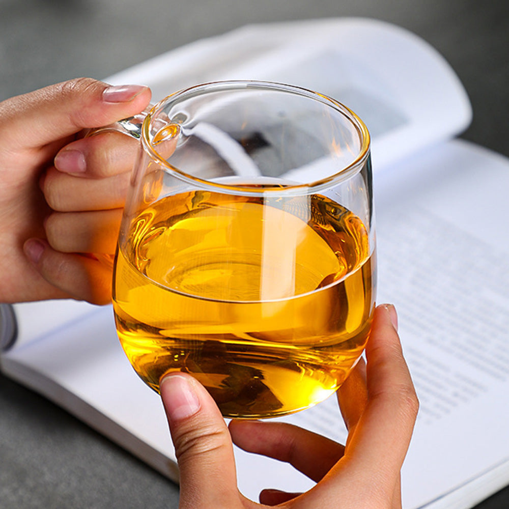 Glass Tea Cup with Infuser and Lid Borosilicate Tea Mug for Loose Leaf Tea