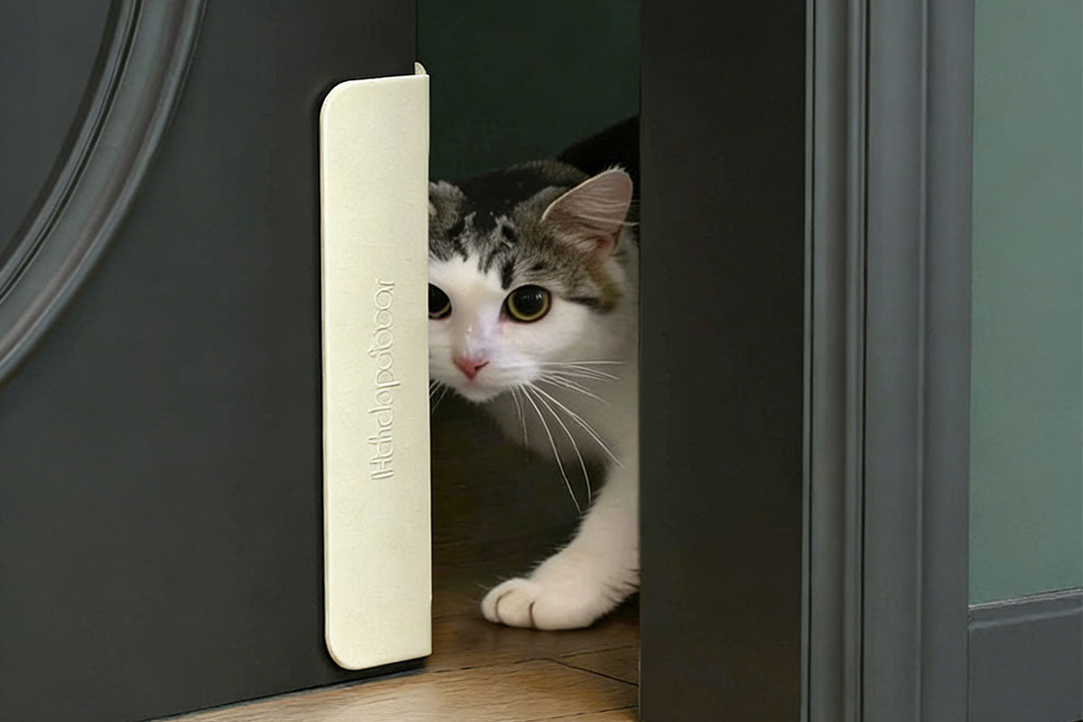 No Drill Pet Door Opener Automatic Easy Installation for Cats and Dogs
