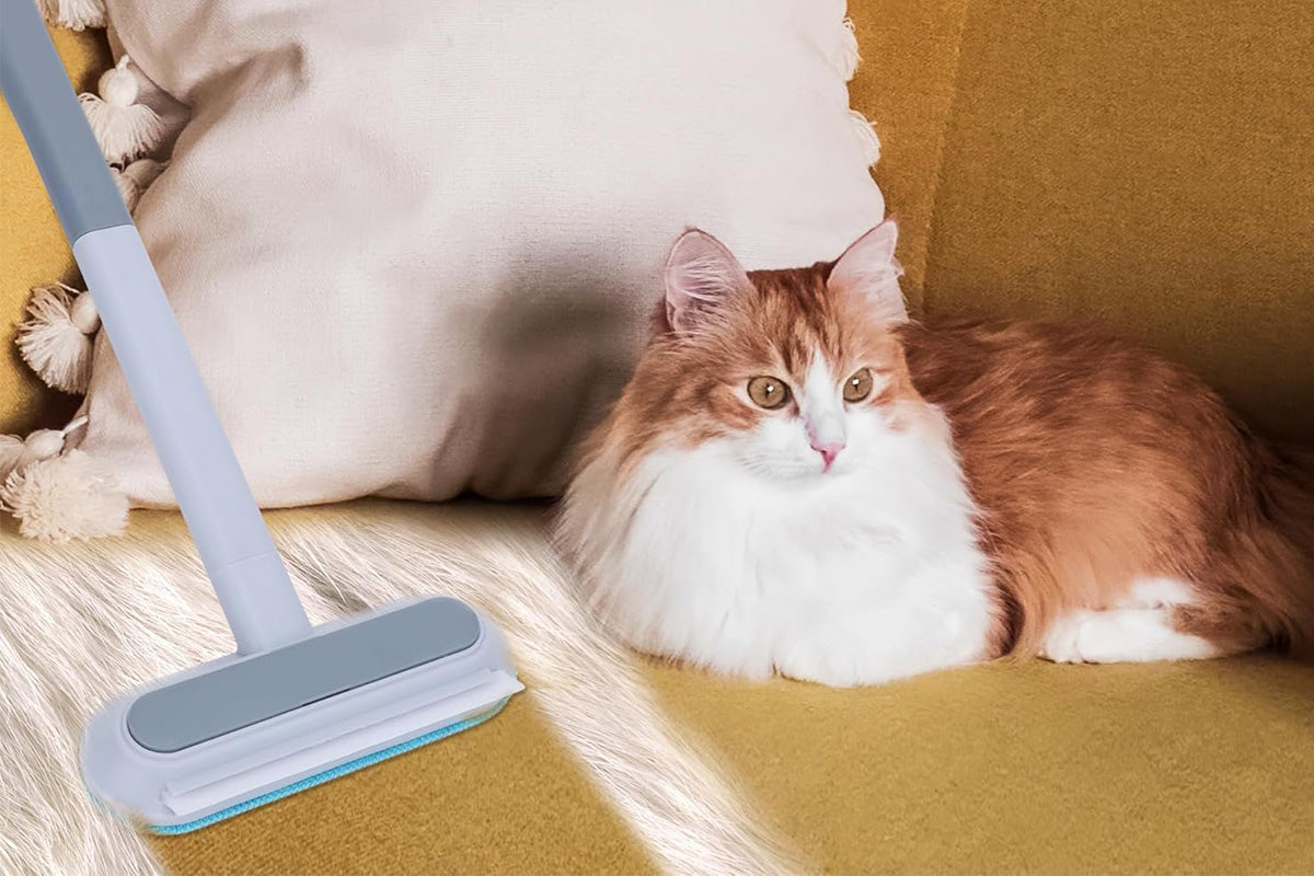 Pet Hair Remover Reusable Brush for Sofa Bed Carpet