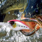 Fishing Advent Calendar Christmas Countdown Calendar Fishing Tackle Lures Gifts