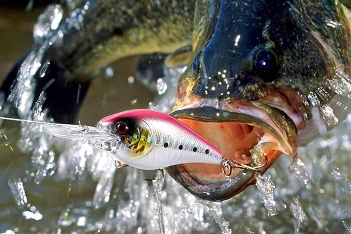 Fishing Advent Calendar Christmas Countdown Calendar Fishing Tackle Lures Gifts