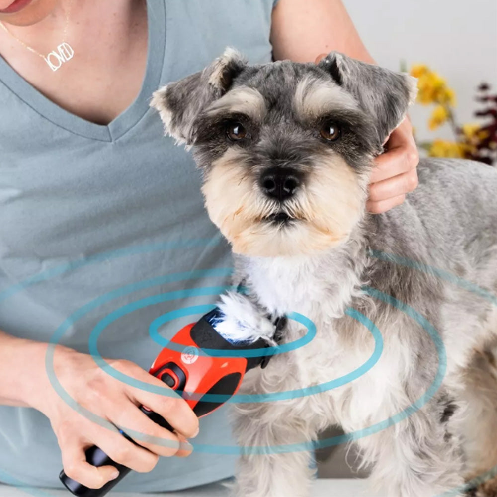 Professional Dog Clipper Cordless Pet Trimmer Grooming Kit for Thick Hair