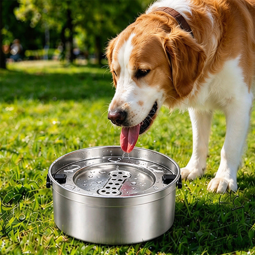 304 Stainless Steel Floating Pet Water and Food Bowl with Removable Plate