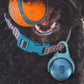 Dog Collar Light Rechargeable LED Water Resistance with 4 Modes for Night Walking