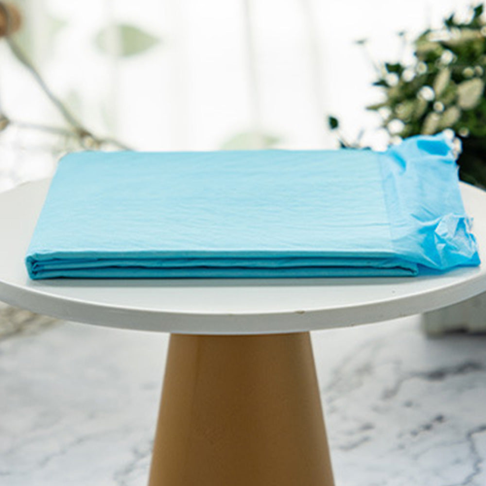 200 Pack 60x60cm Five Layer Super Absorbent Puppy and Dog Training Pads