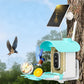 Smart Bird Feeder with Camera AI Identify 10000+ Birds Solar Powered Outdoor Live View for Bird Lovers