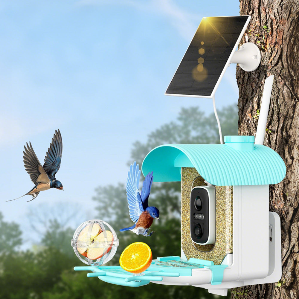 Smart Bird Feeder with Camera AI Identify 10000+ Birds Solar Powered Outdoor Live View for Bird Lovers