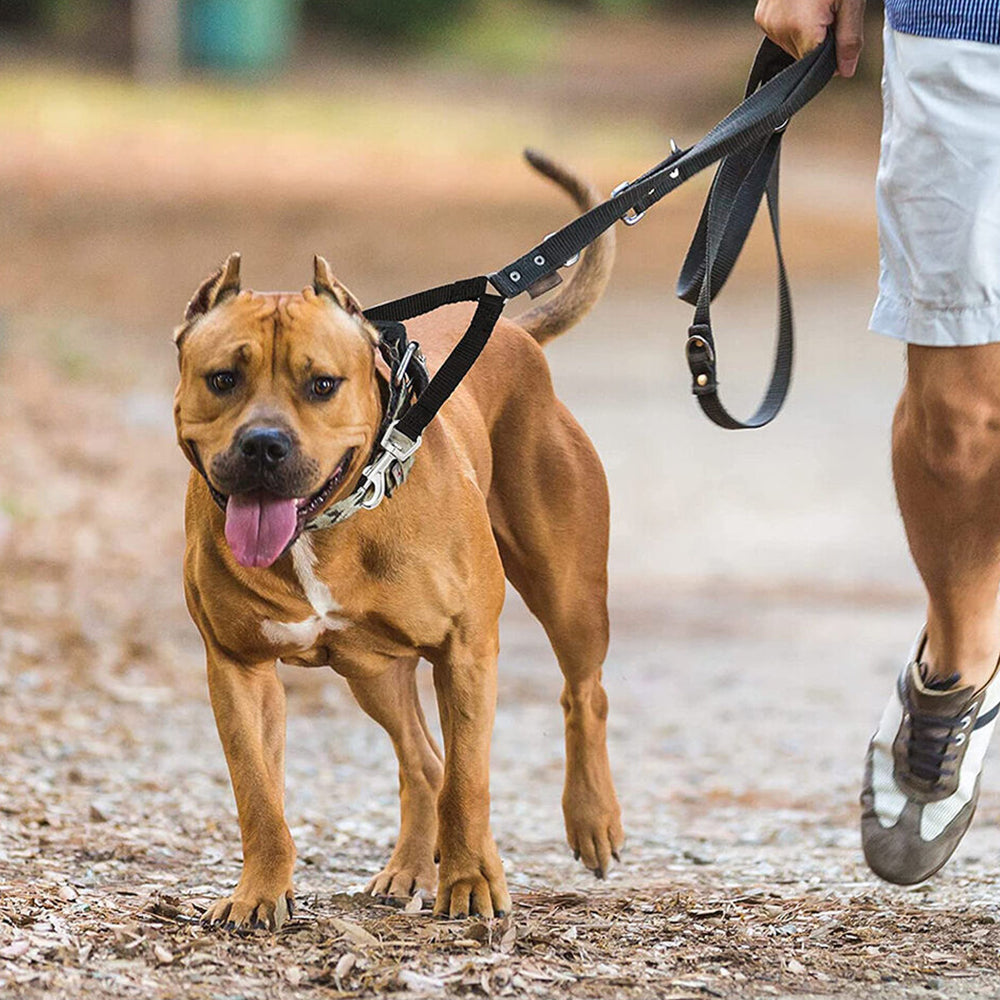 2Pcs Dual Dog Leash with One Lead Coupler Nylon Harness