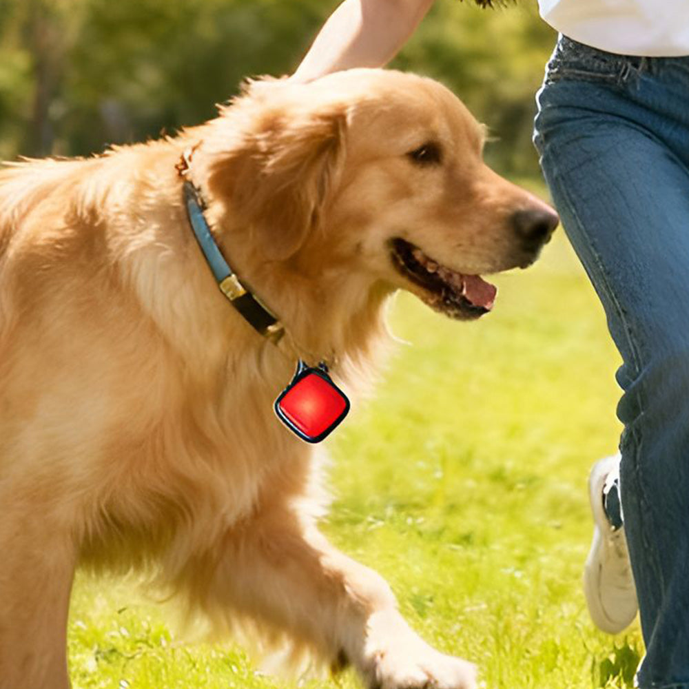 LED Clip On Pet Collar Light for Dogs Cats Outdoor Activities
