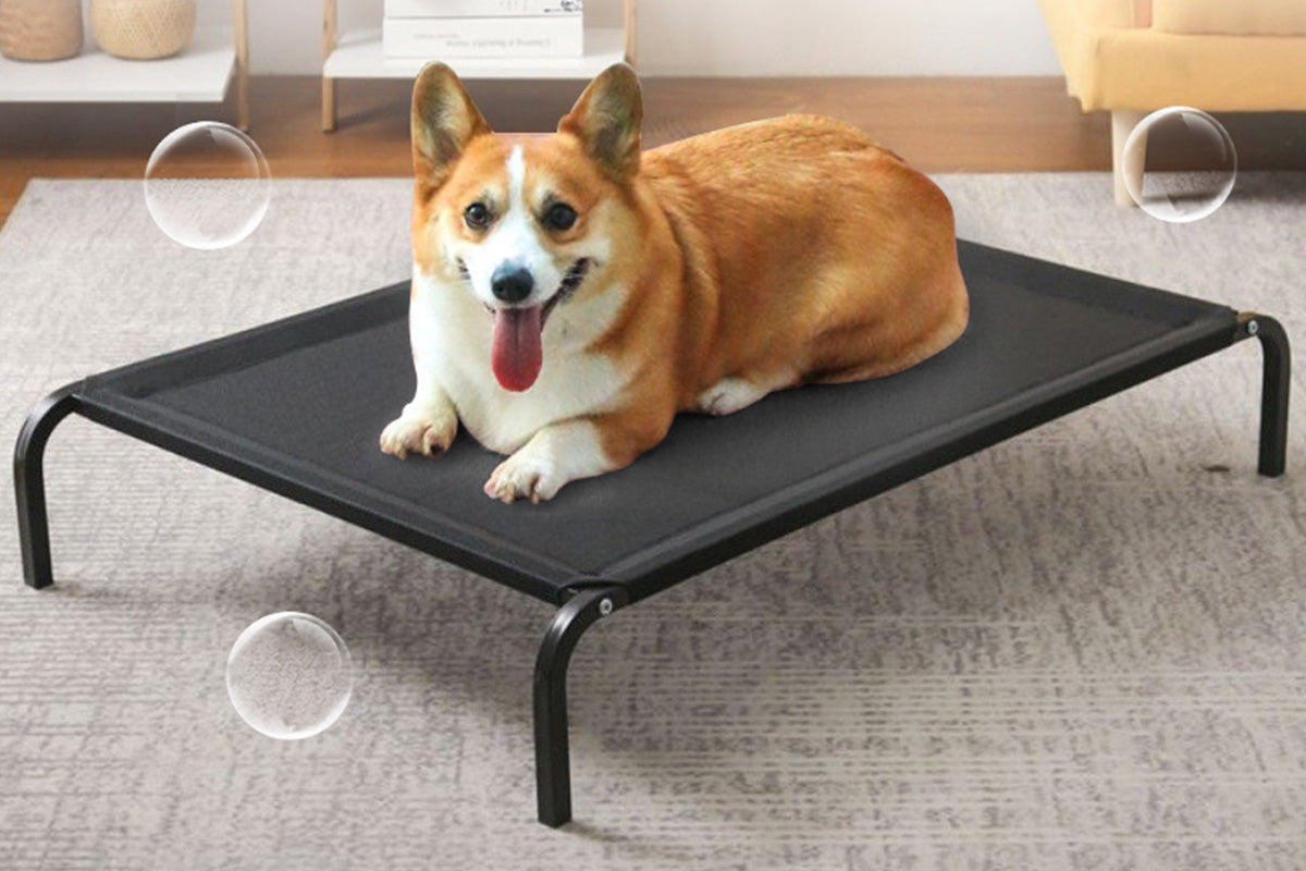 Heavy Duty Pet Raised Bed Elevated Trampoline Pet Bed Dog Mesh Hammock