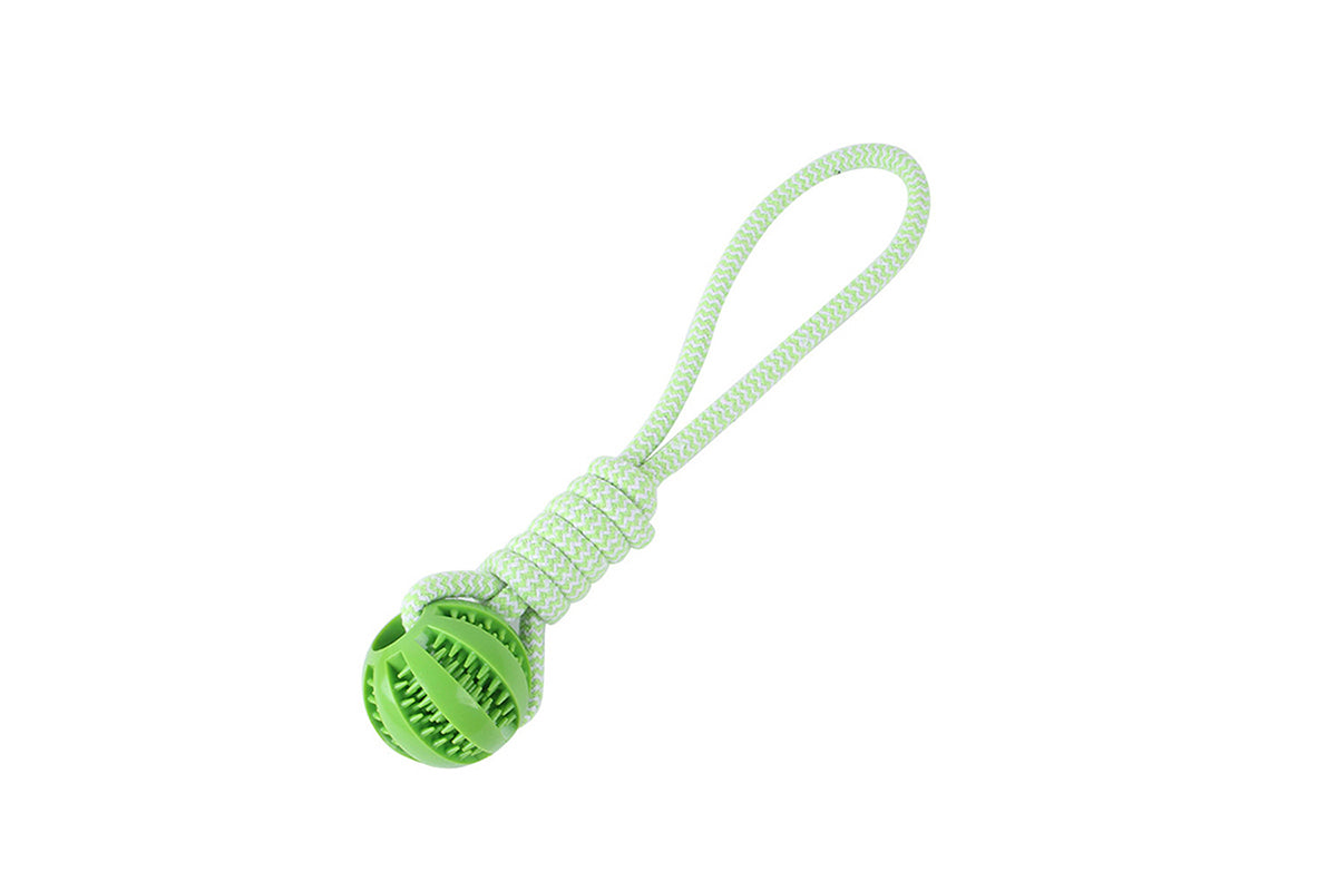 Interactive Dog Rope Toy with Elastic Bungee and Chew Ball for Indoor Outdoor Play