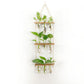 3 Tiered Wall Hanging Terrarium With Wooden Stand Hanging Tube Glass Vases