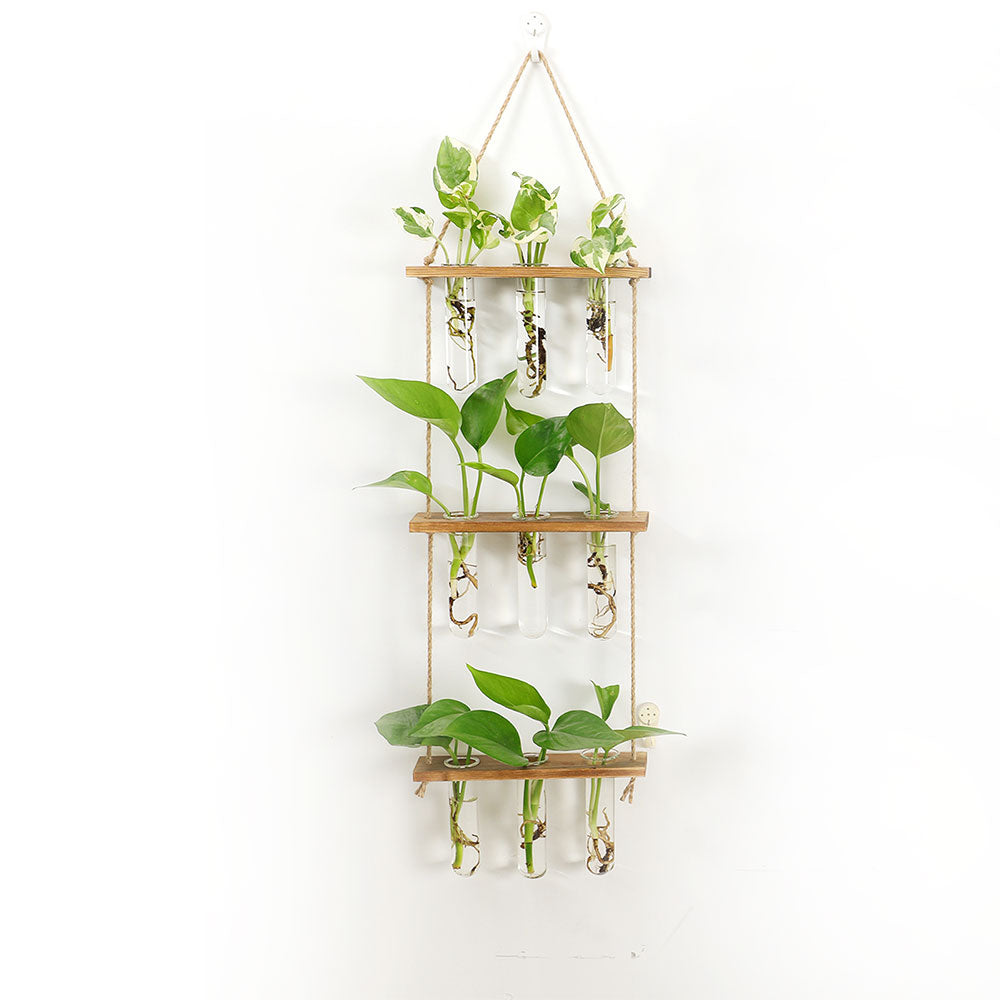 3 Tiered Wall Hanging Terrarium With Wooden Stand Hanging Tube Glass Vases