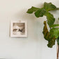 4Pcs Vinyl Wall Mount Record Wall Display Album Wall Mount for 1LP and 2LP