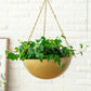 Set of 2 Iron Hanging Planter Pots