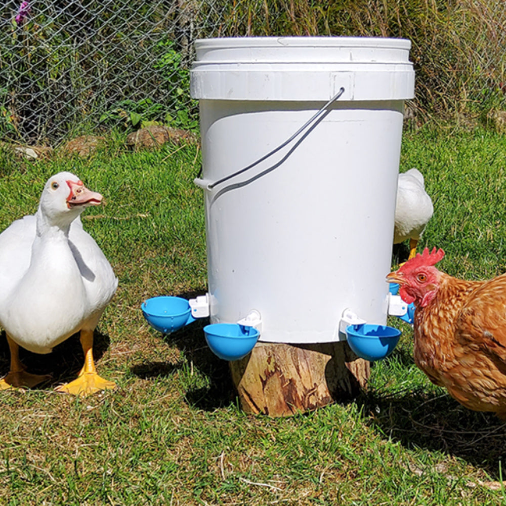 5Pcs Automatic Chicken Drinking Bowl Feeder