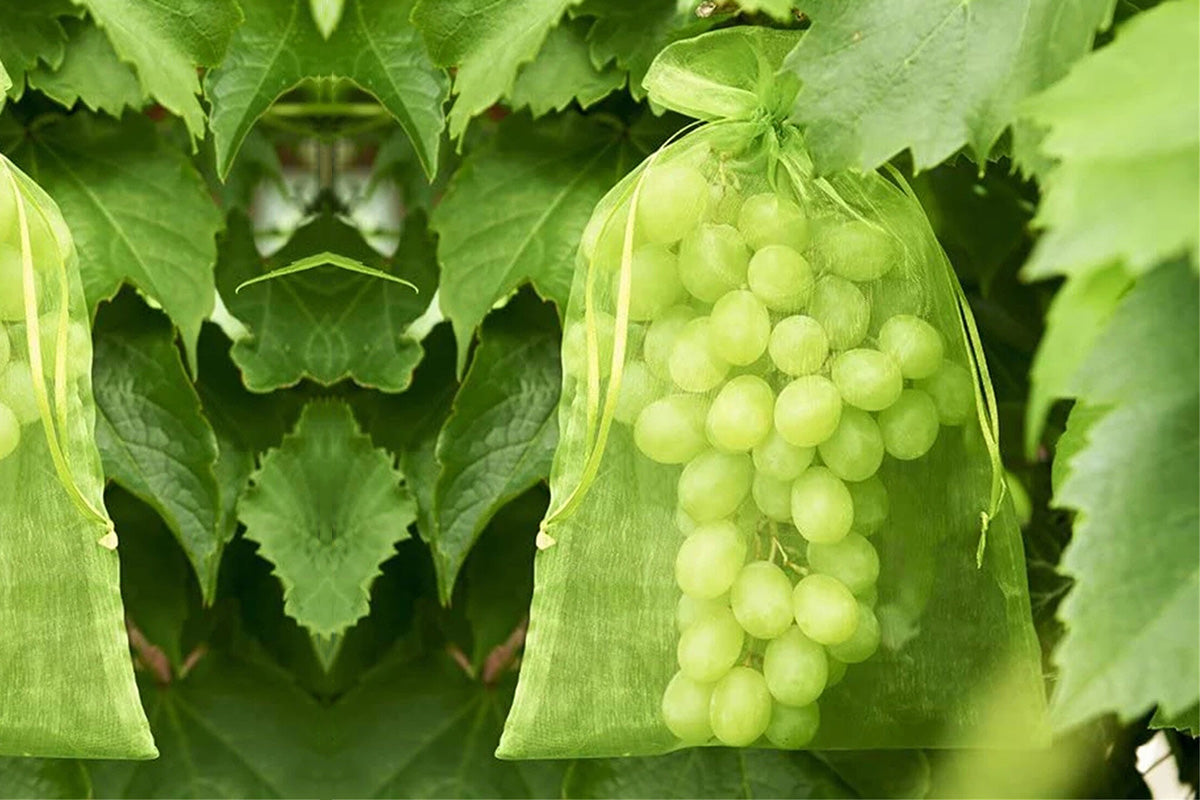 50PCS Fruit Protection Bags Green Fruit Nets Drawstring Mesh Cover Bags For Vegetable Protection