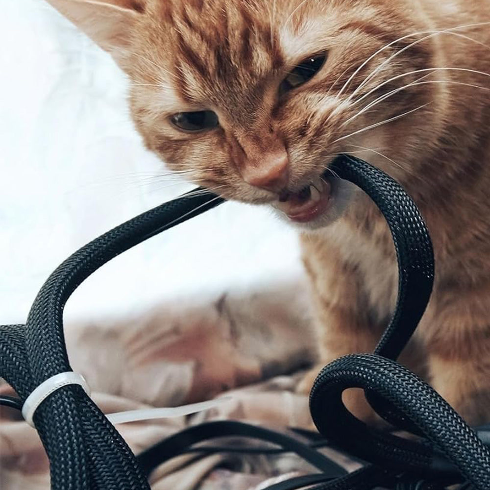 No Chew Cord Protector for Pets Bite Resistant Cable Sleeve for Cats Dogs Rabbits